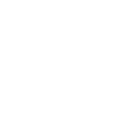 Procwiz Logo
